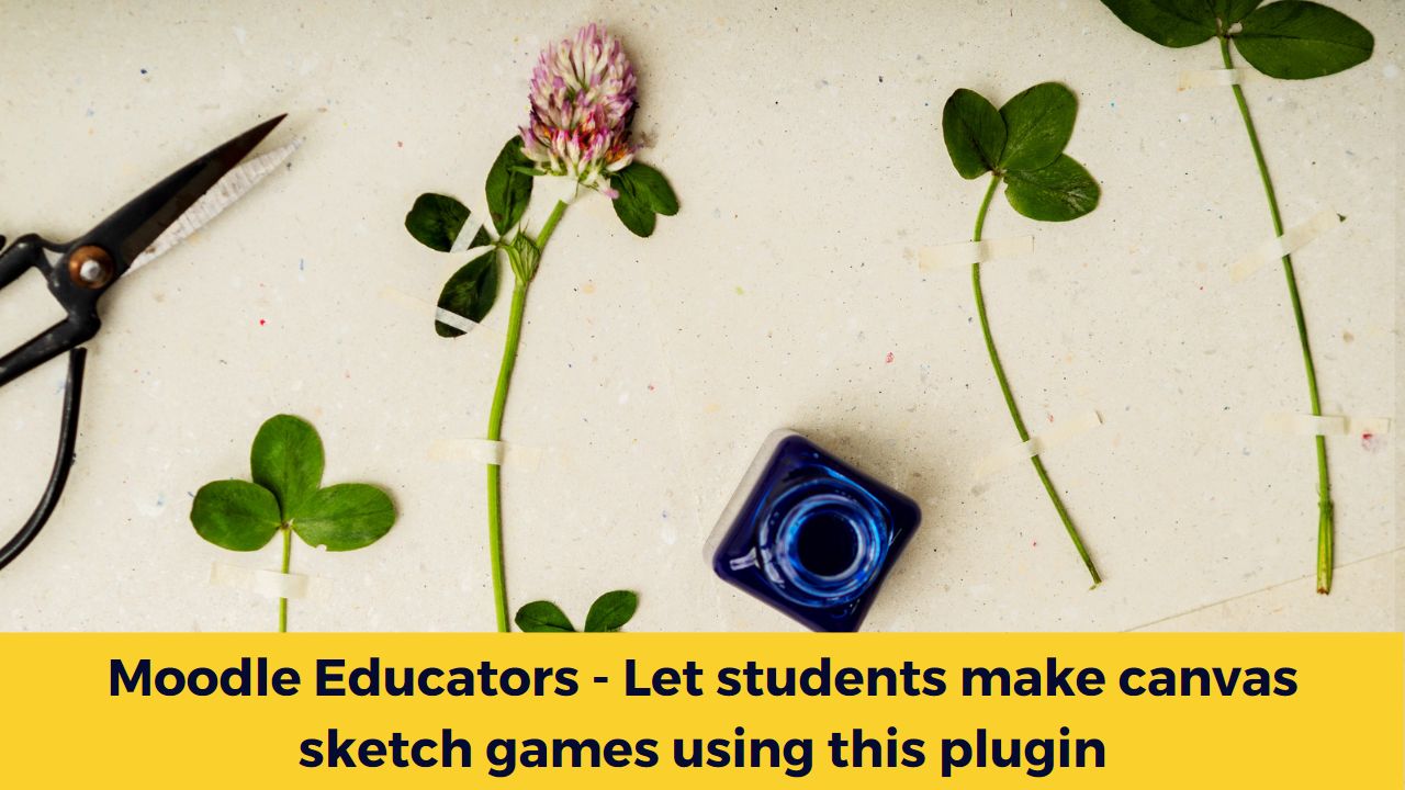 Moodle Educators - Let students make canvas sketch games using this plugin