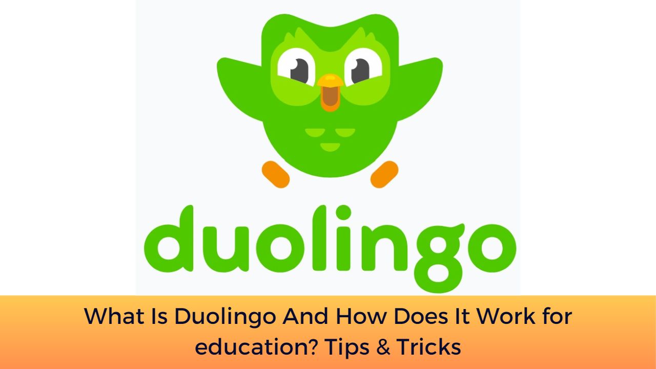 What Is Duolingo And How Does It Work for education? Tips & Tricks